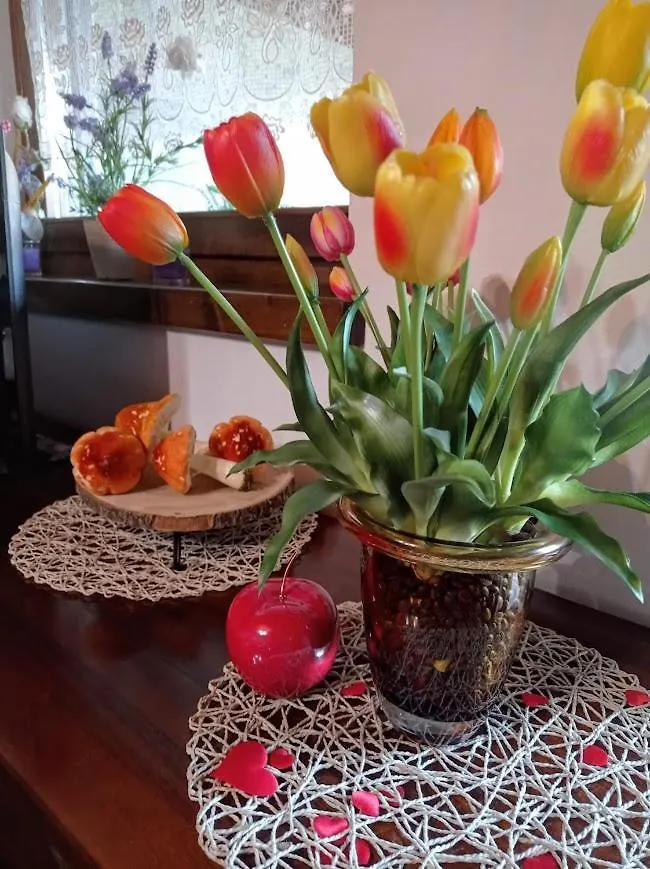 Chalet Du Soleil Odecla Holiday home
