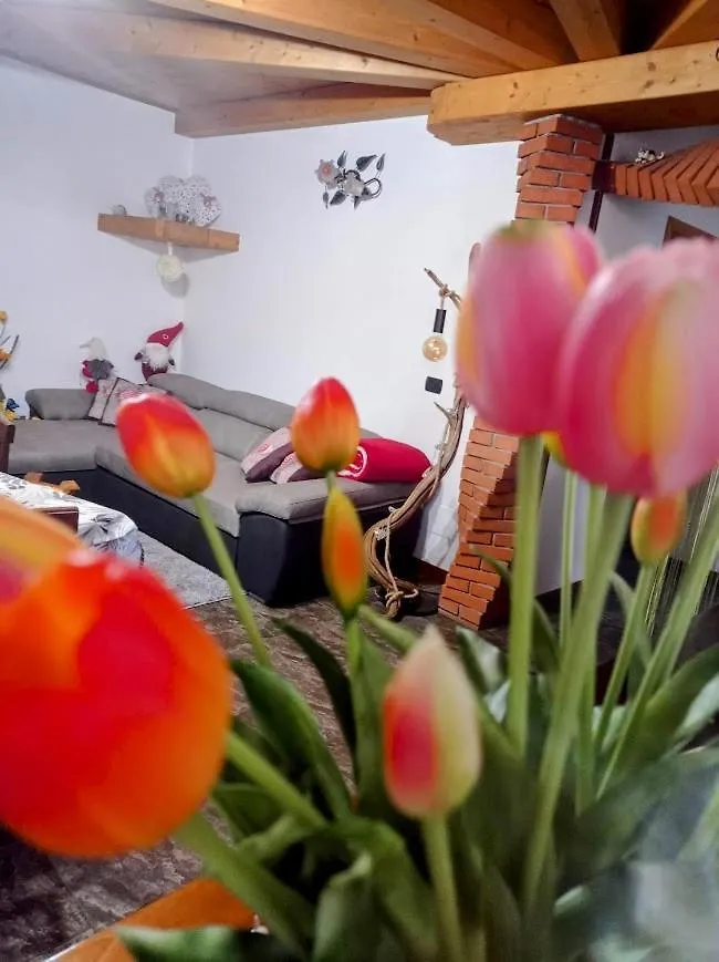 Chalet Du Soleil Odecla Holiday home